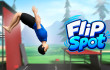 Flip Spot img