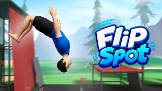 Flip Spot Flip Spot img