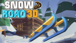 Snow Rider 3D img